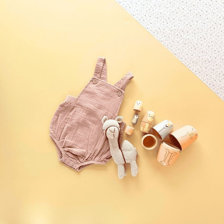 Animals of the UAE Gift Box