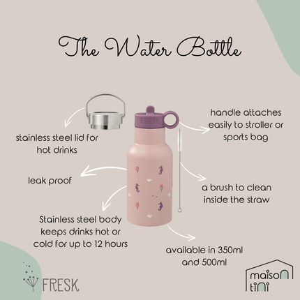 Insulated Water Bottle - Seahorse - 2 Lids (350ml)