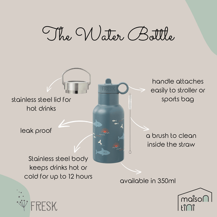 Insulated Water Bottle - Shark - 2 Lids (350ml)