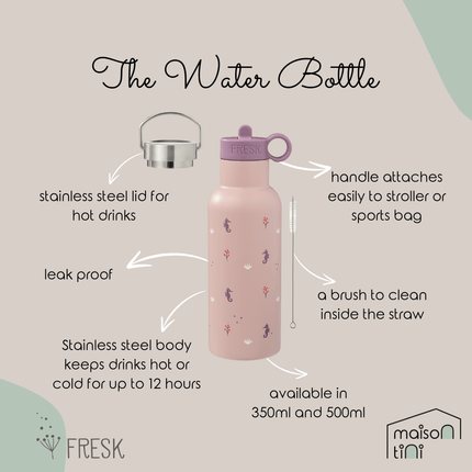 Insulated Water Bottle - Seahorse - 2 Lids (500ml)