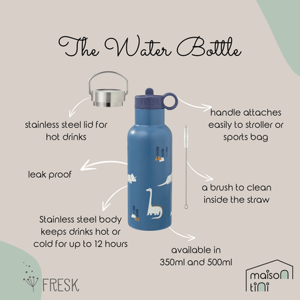 Insulated Water Bottle - Dino - 2 Lids (500ml)