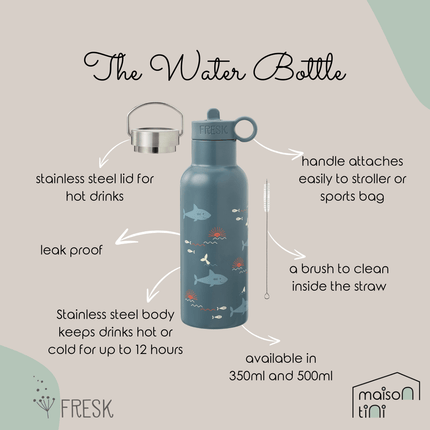 Insulated Water Bottle - Shark - 2 Lids (500ml)