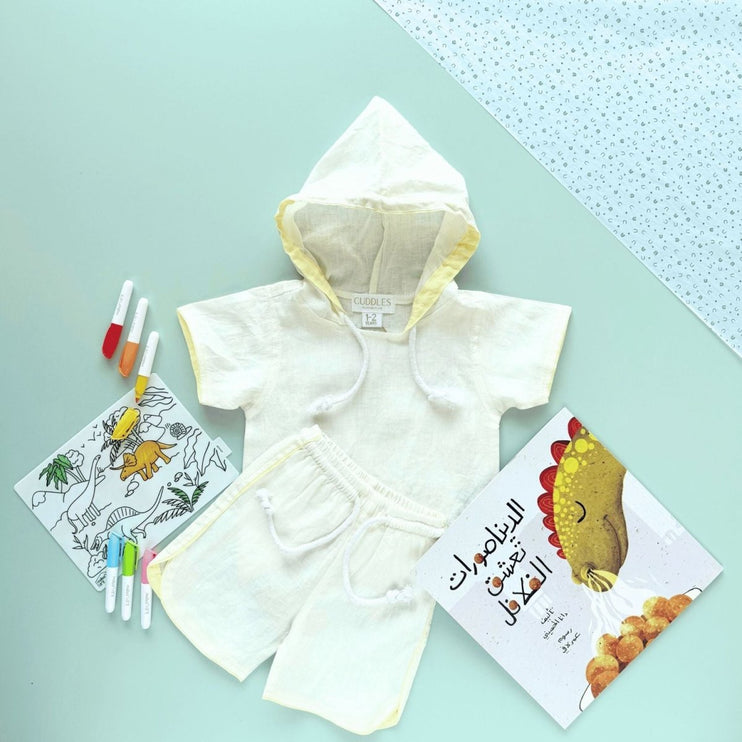 Falafelsaurus Fun Gift Box