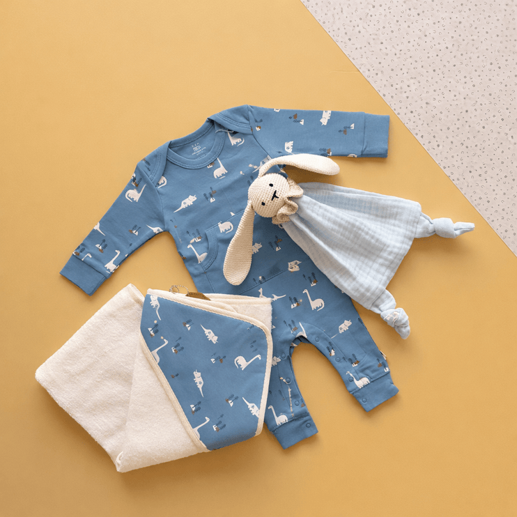 Newborn Gift Box - Dino