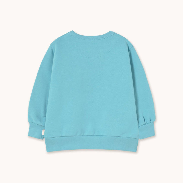 Light blue sweatshirt