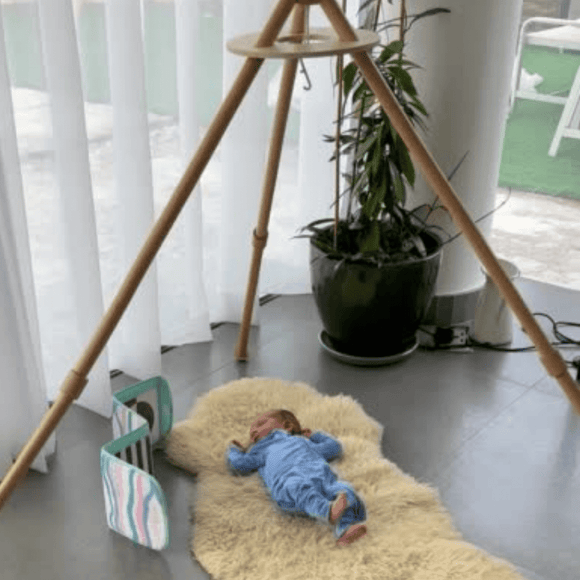 mobile hanger & play gym