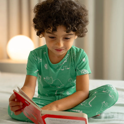 dinosaur boys pajamas