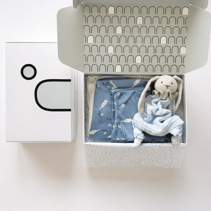 Newborn Gift Box - Dino
