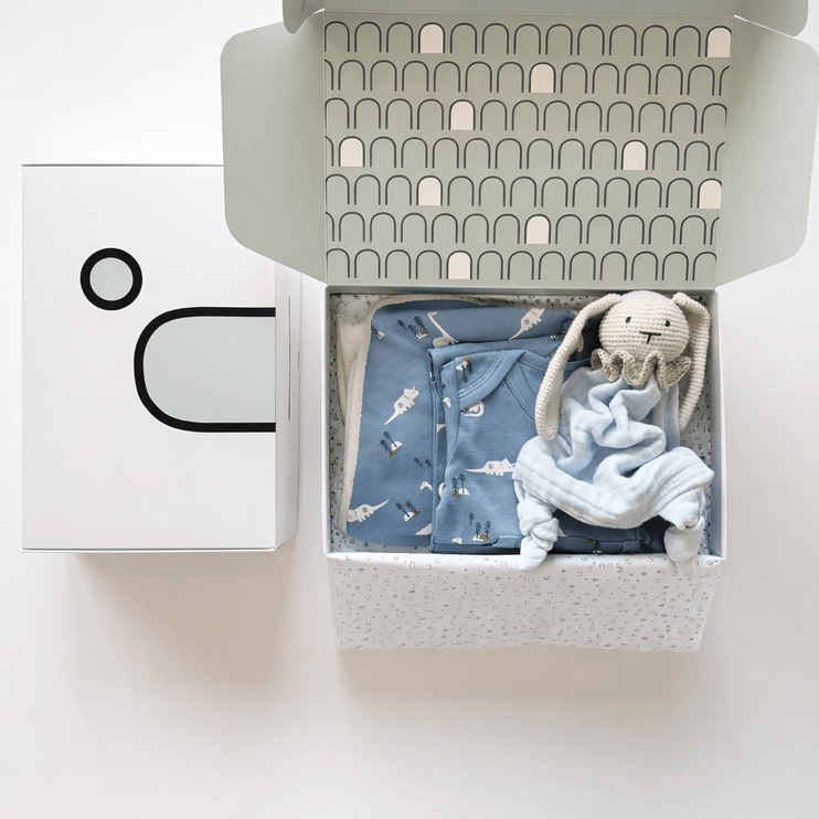 Newborn Gift Box - Dino