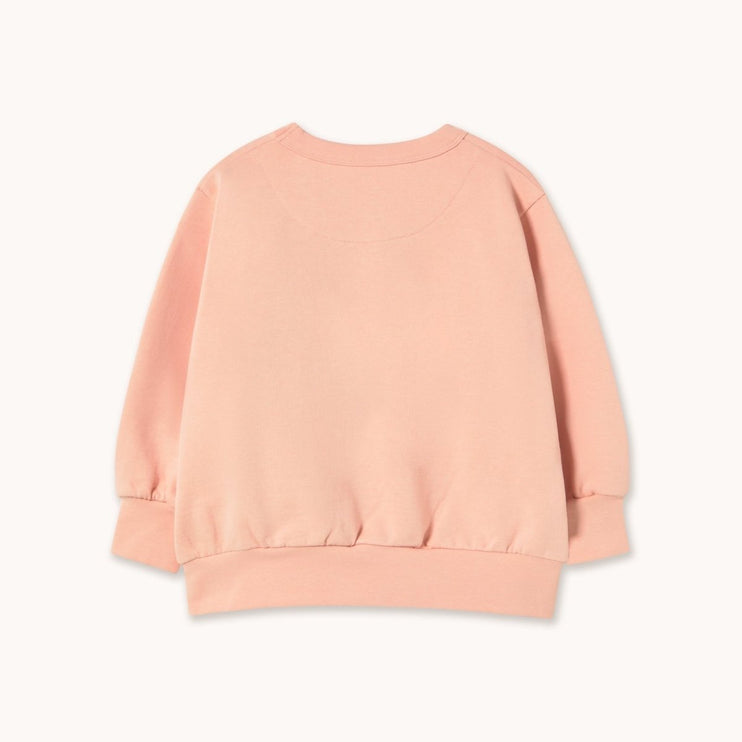 Pink sweatshirt 