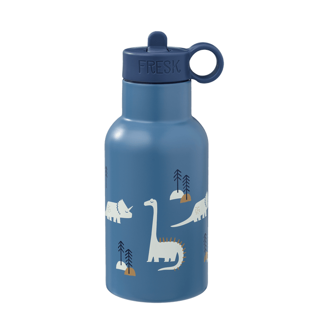 350ml water bottle with dino print