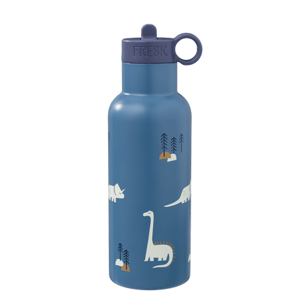 500ml Blue water bottle with dinosaur illustrations 