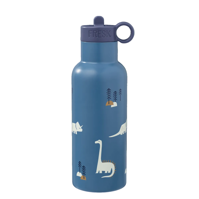 500ml Blue water bottle with dinosaur illustrations 