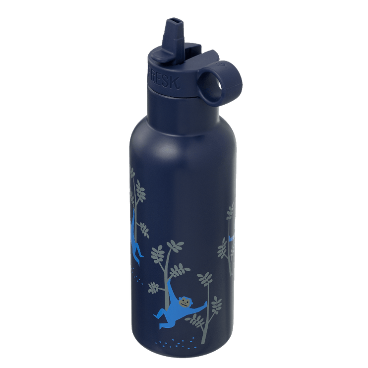 Insulated Water Bottle - Monkey (500ml)