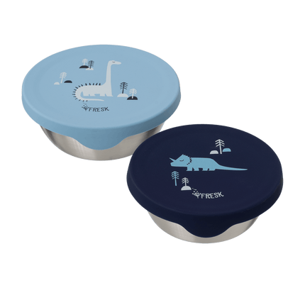 Snack box Set- 2pcs  - Dino