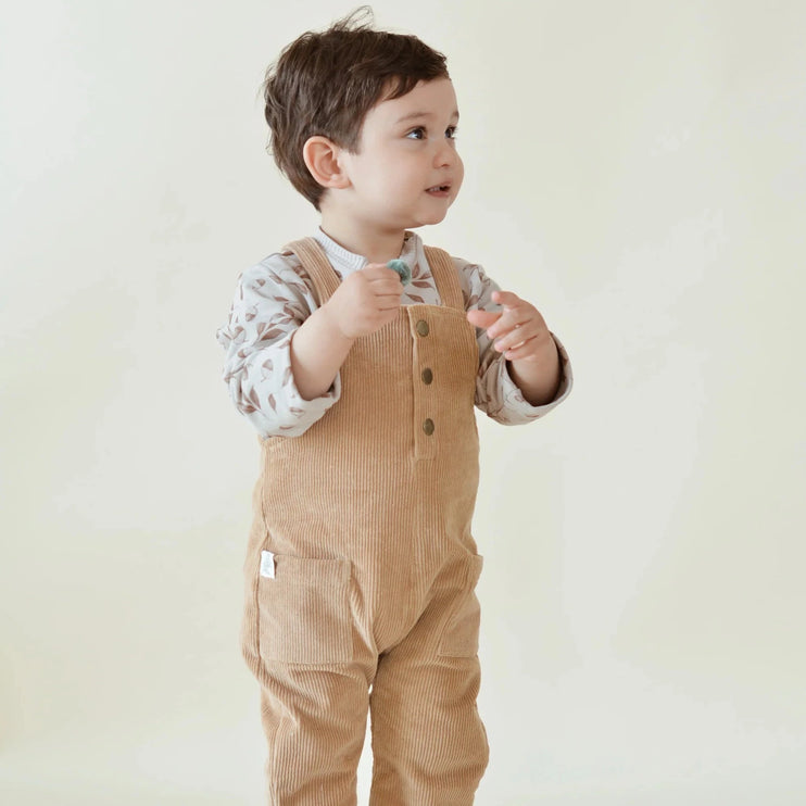 gaston overalls