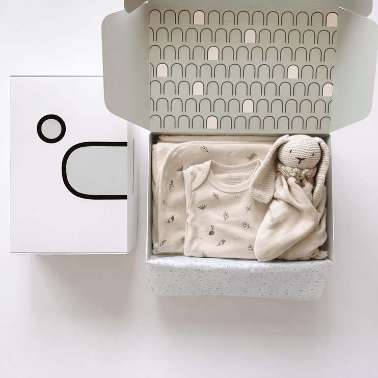Newborn Baby Essentials Gift Box - Rabbit