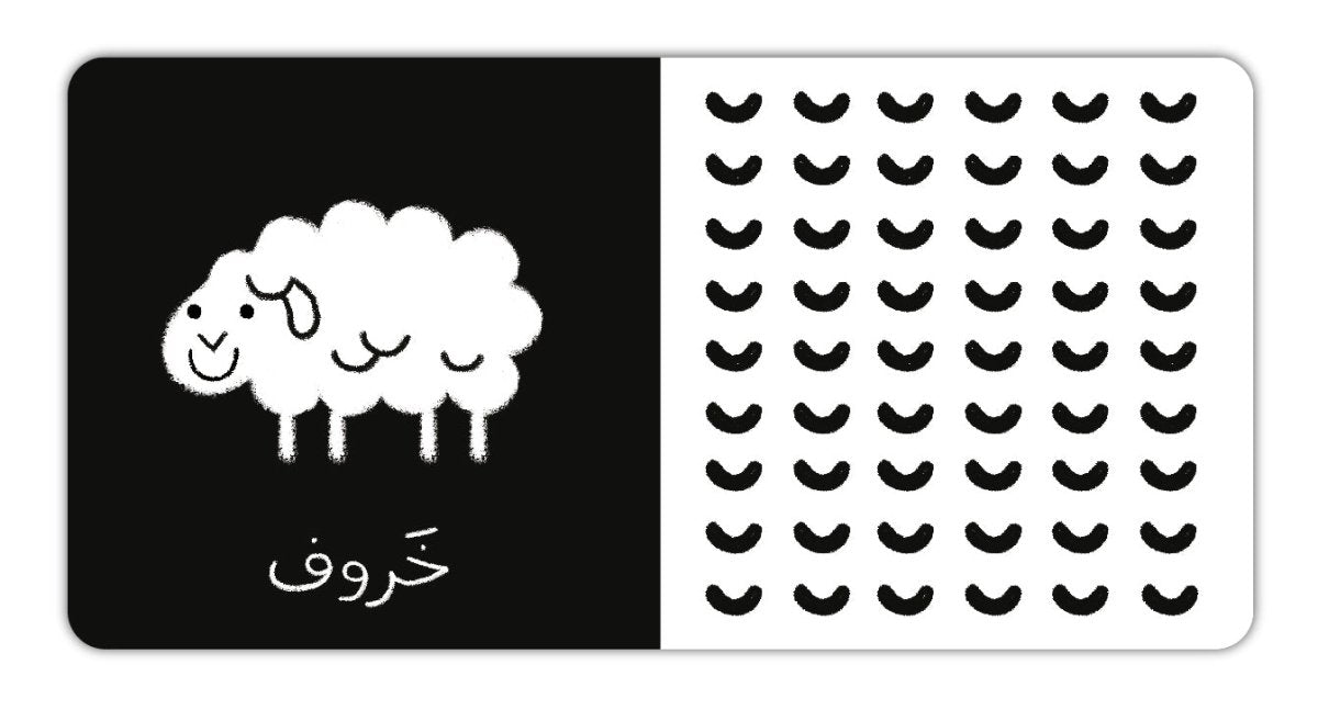 contrast book in arabic