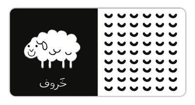 contrast book in arabic