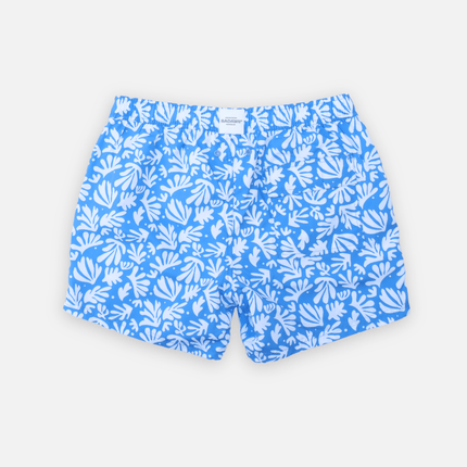 back look of men shorts deep sea corals