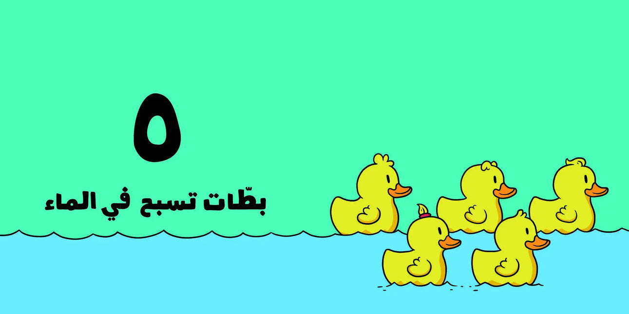 arabic book on numbers