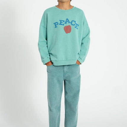 boy wearing turquoise sweatshirt paired with denim jeans