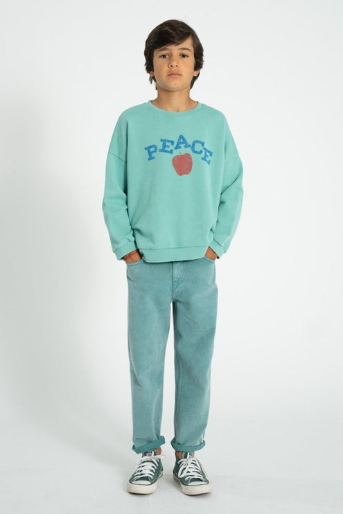 boy wearing turquoise sweatshirt paired with denim jeans