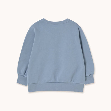 Grey Sweatshirt backview