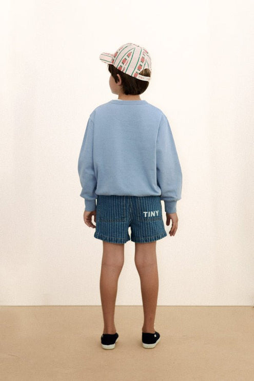 Grey sweatshirt backview