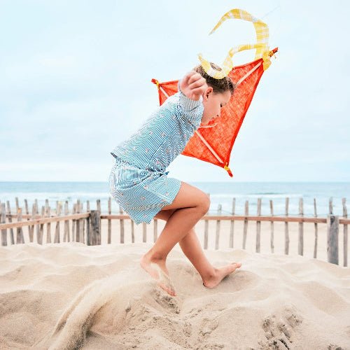 Playful baby boy wearing Striped blue and cream with Crab prints longsleeves swim top and short