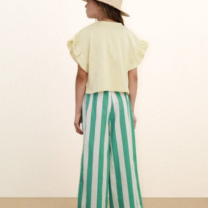 Dusty yellow crop t-shirt backview