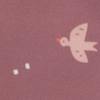 Swallow