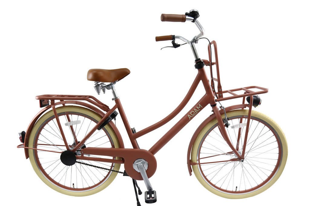 adult bicycle
