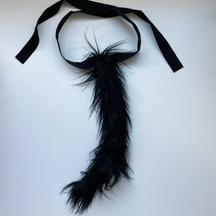 Dress Up Cats Tail