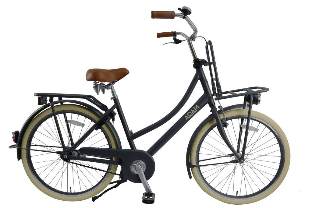dutch style bicycle