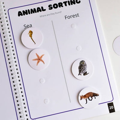 Kids Counting Book.
