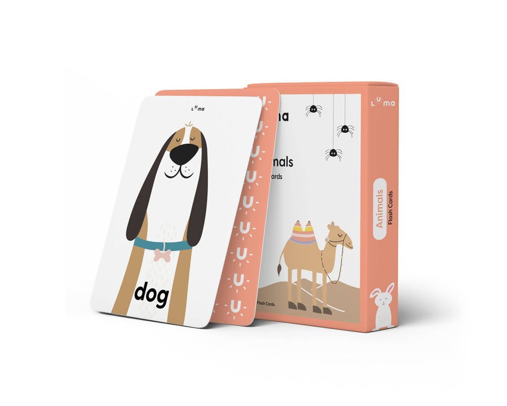 Animals Flash Cards - English