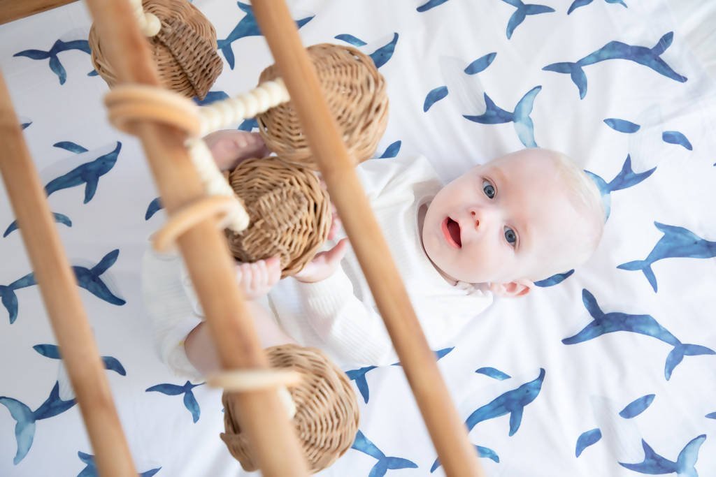 baby swaddles