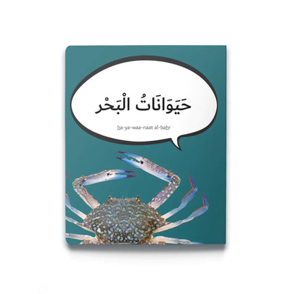 First Arabic Words - Set 4 (5 Books)