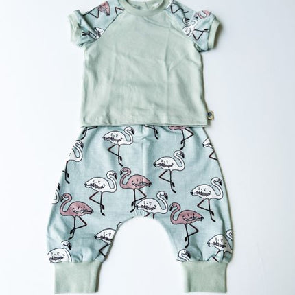 flamingo sea green pants set