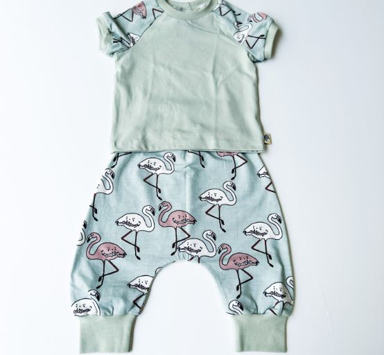 flamingo sea green pants set