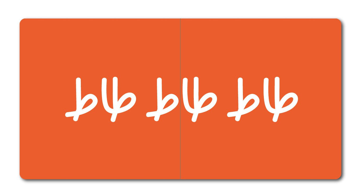 Saber (Arabic Book) - صابر