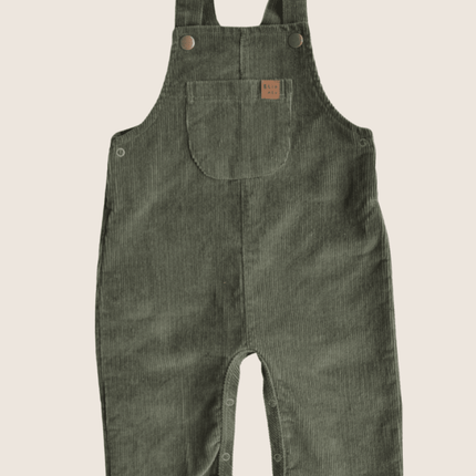 kids winter overalls
