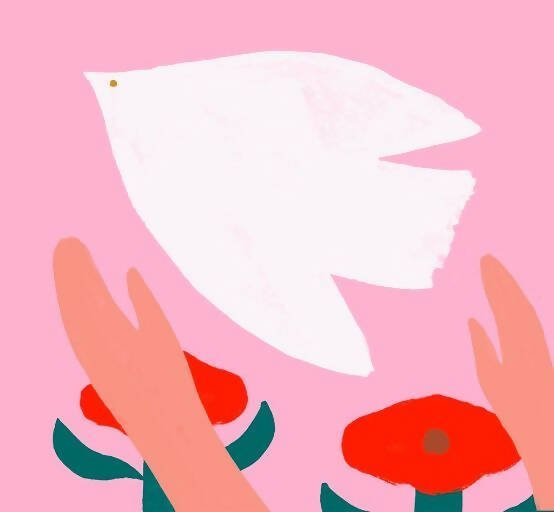 Illustration book