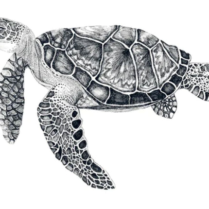 turtle art work