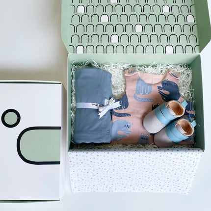 newborn gift box