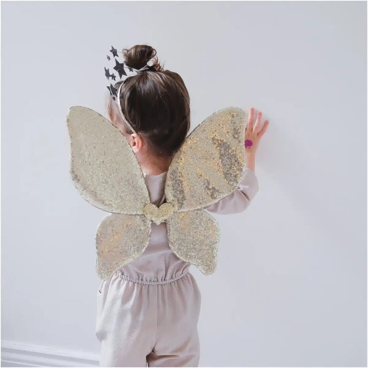 cute dress up fairy wings