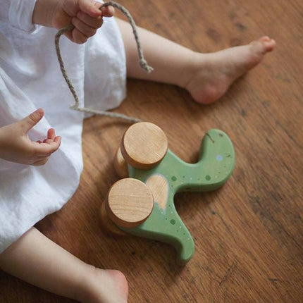 wooden pull toy